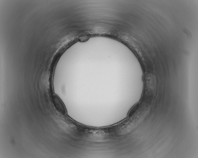 X0000111380395200908071239