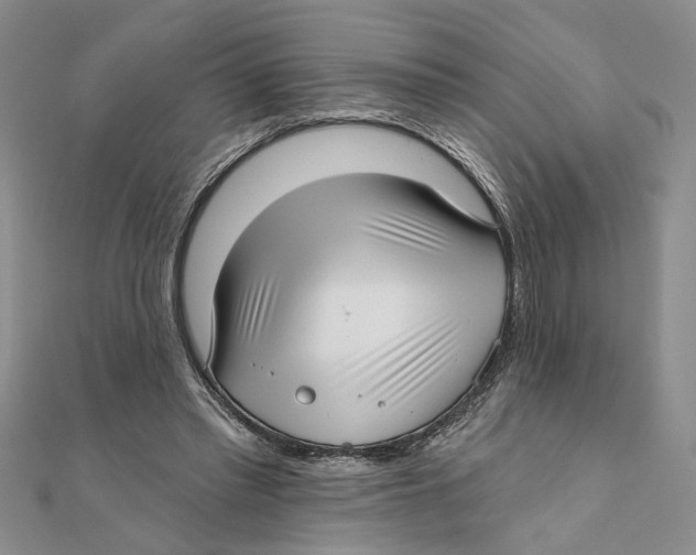 X0000111380397200908071239