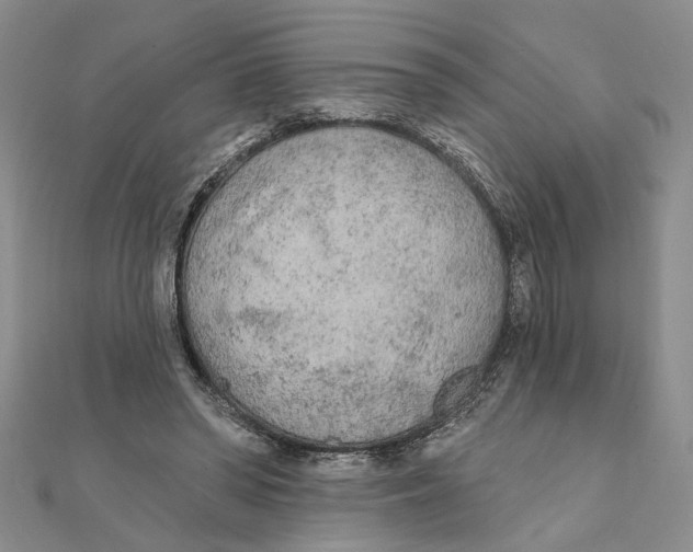 X0000111380398200908071239