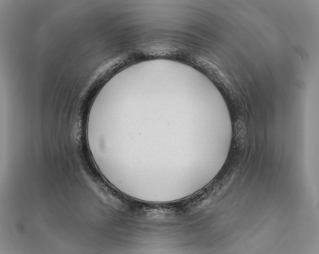 X0000111380400200908071239