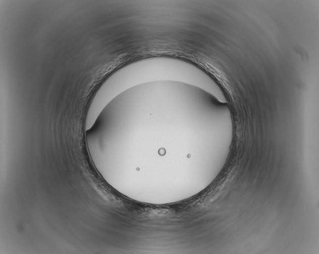 X0000111380401200908071239