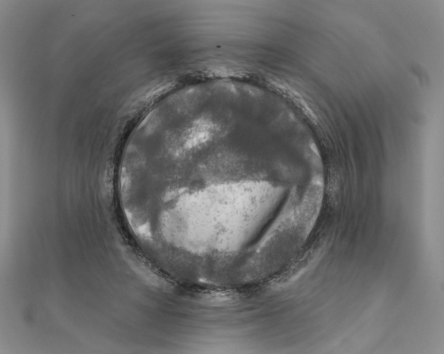 X0000111380402200908071239