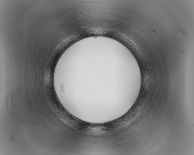 X0000111380407200908071239