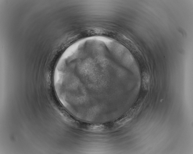 X0000111380410200908071239