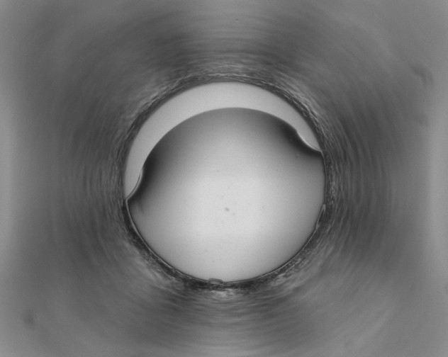 X0000111380411200908071239