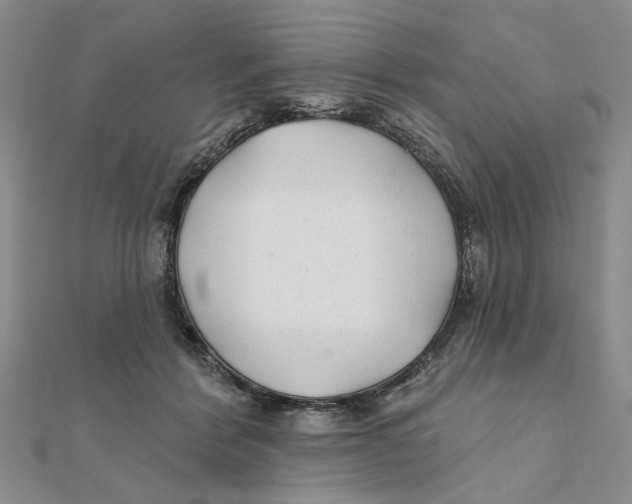 X0000111380412200908071239