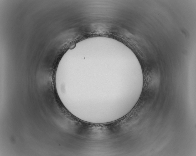 X0000111380415200908071239