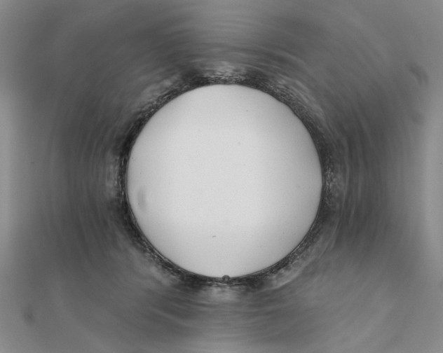 X0000111380416200908071239