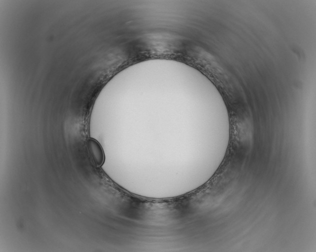 X0000111380419200908071239