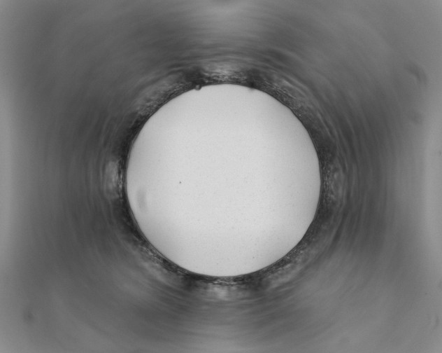 X0000111380420200908071239