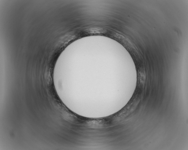 X0000111380422200908071239