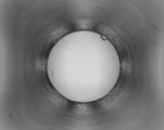 X0000111380423200908071239