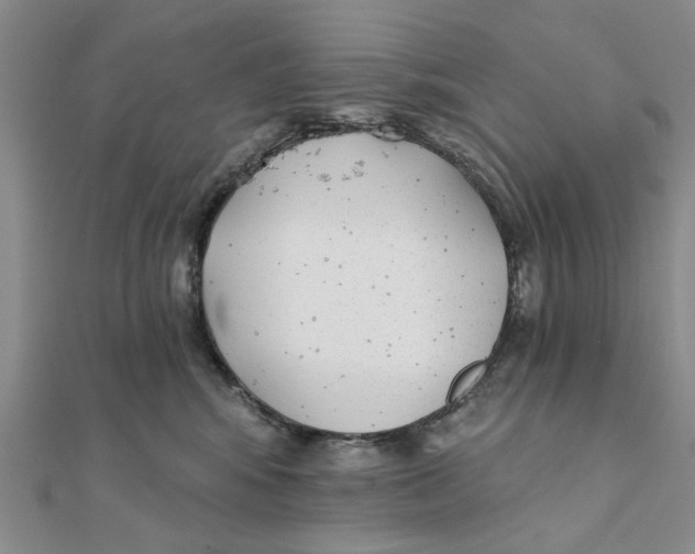 X0000111380424200908071239