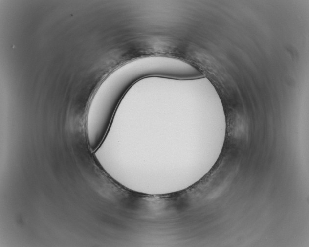 X0000111380425200908071239