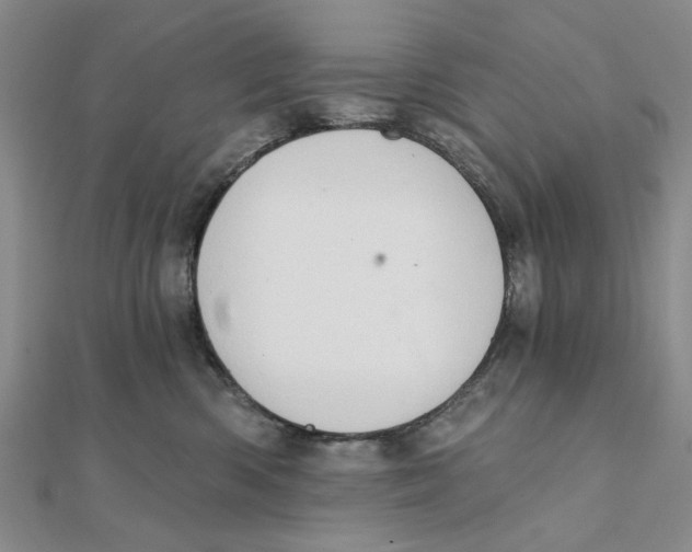 X0000111380426200908071239