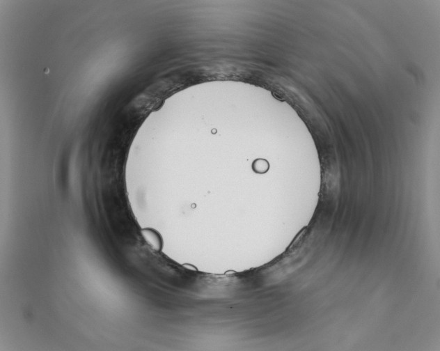 X0000111380429200908071239