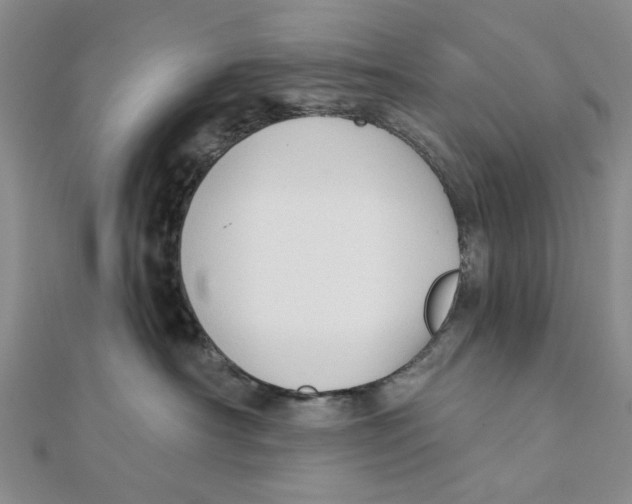 X0000111380430200908071239