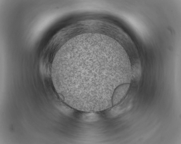 X0000111380431200908071239