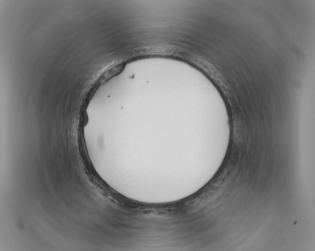 X0000111380434200908071238