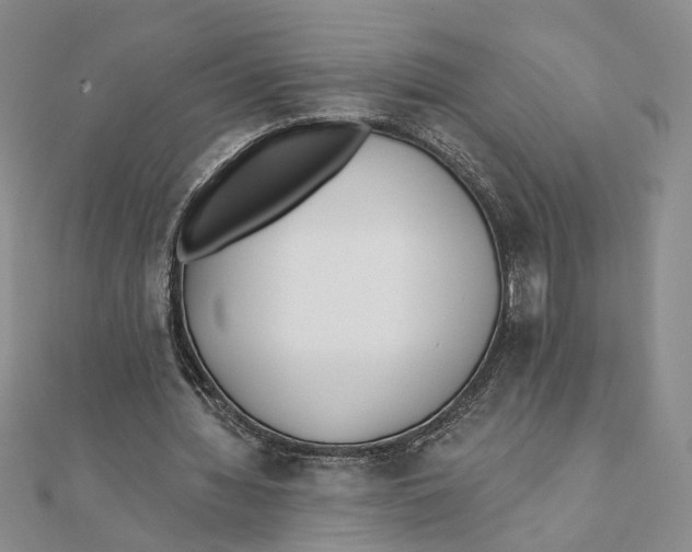 X0000111380436200908071238