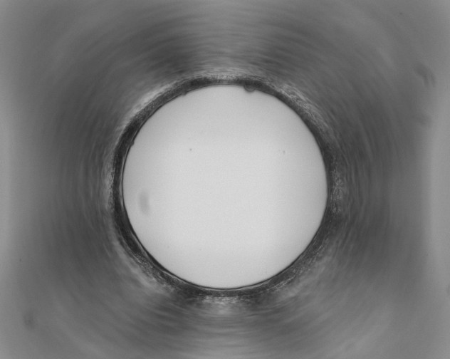 X0000111380440200908071238