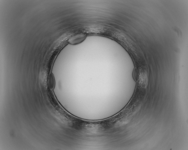 X0000111380444200908071238