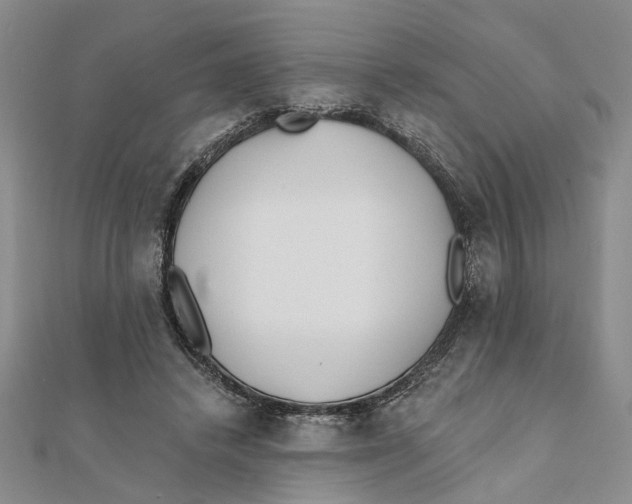 X0000111380448200908071238