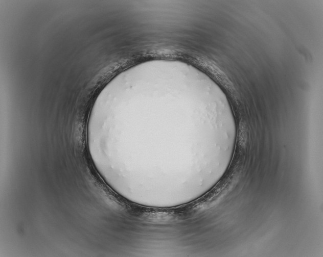 X0000111380449200908071238