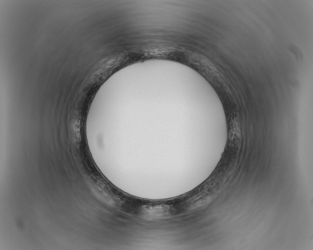 X0000111380452200908071238