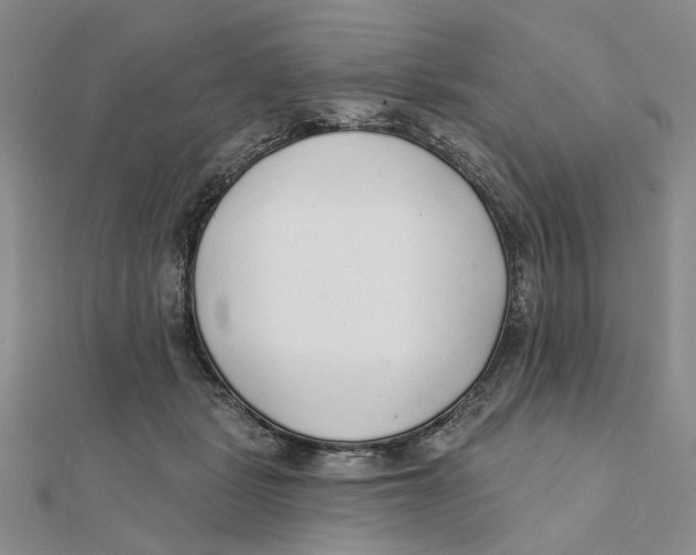 X0000111380461200908071238