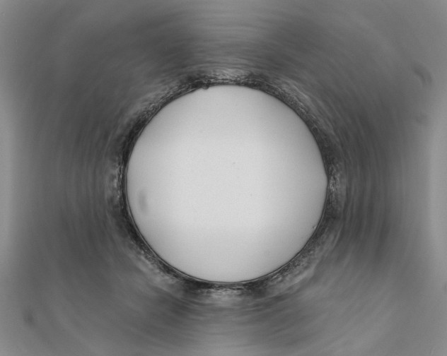 X0000111380462200908071238