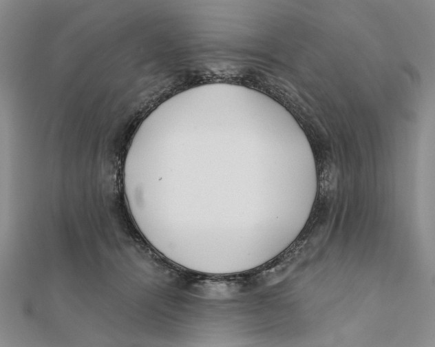 X0000111380464200908071238