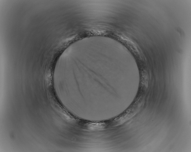 X0000111380465200908071238