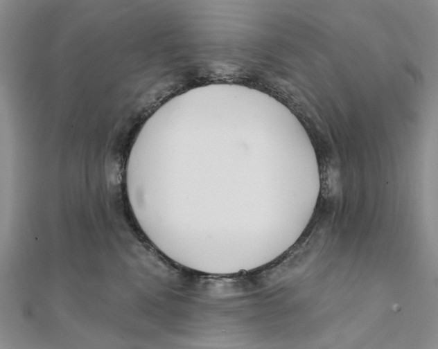 X0000111380472200908071238