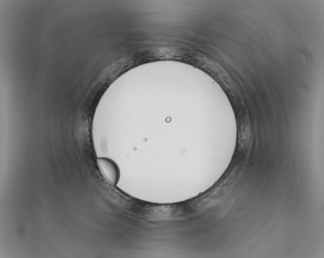 X0000111380473200908071238