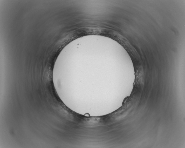 X0000111380474200908071238