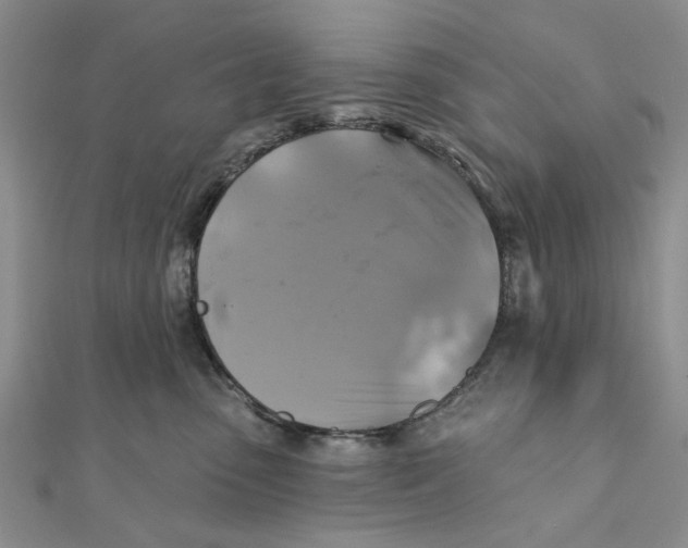 X0000111380475200908071238