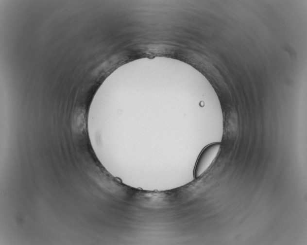 X0000111380478200908071239