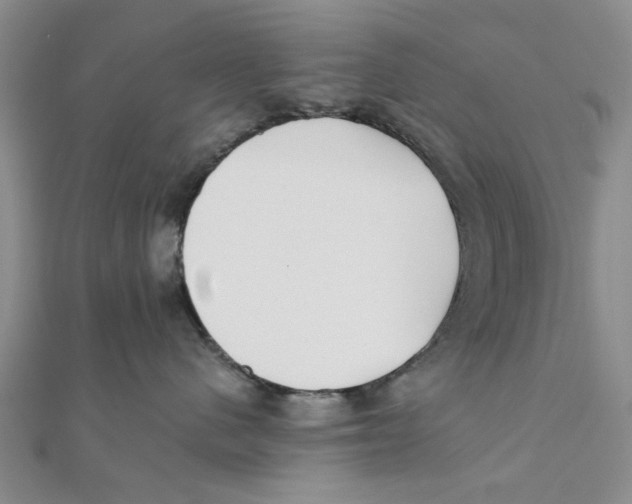 X0000111380480200908071239