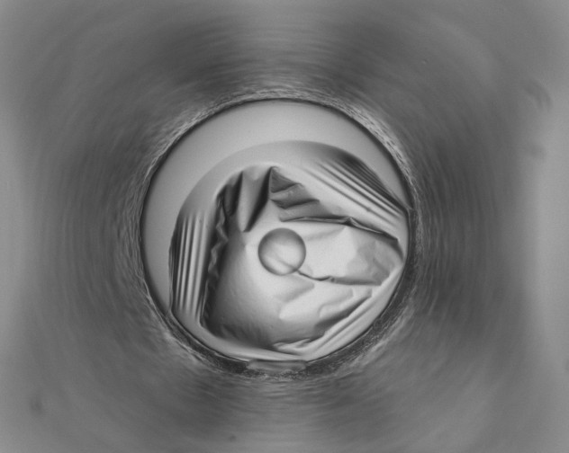 X0000111380481200908071238