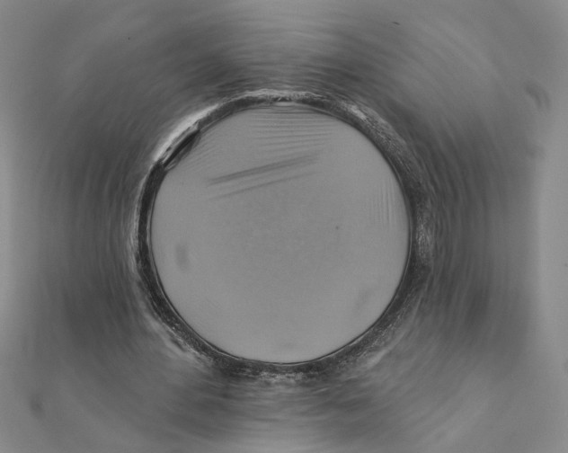 X0000111380484200908071238