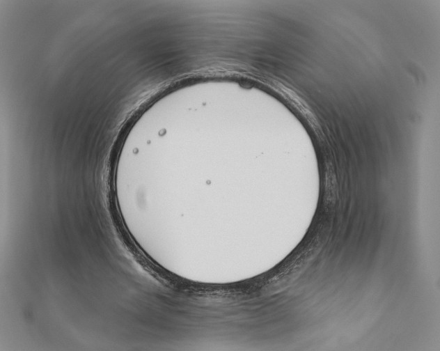 X0000111380485200908071238