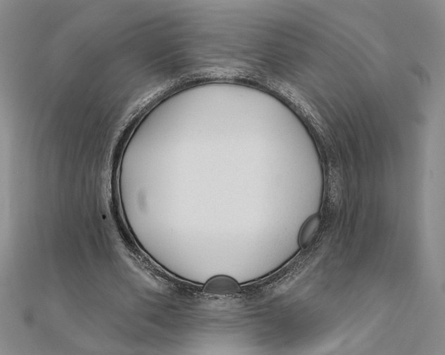 X0000111380486200908071238