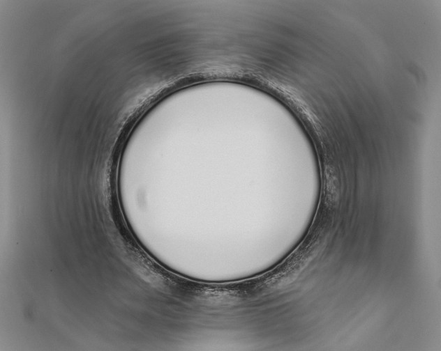 X0000111380487200908071238