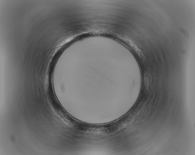 X0000111380488200908071238