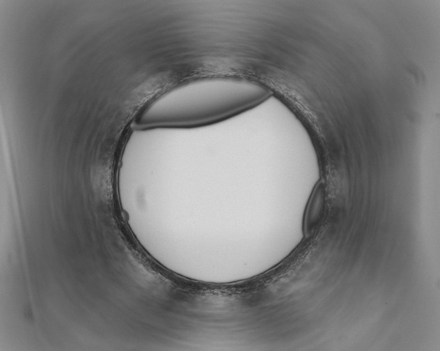 X0000111380489200908071238