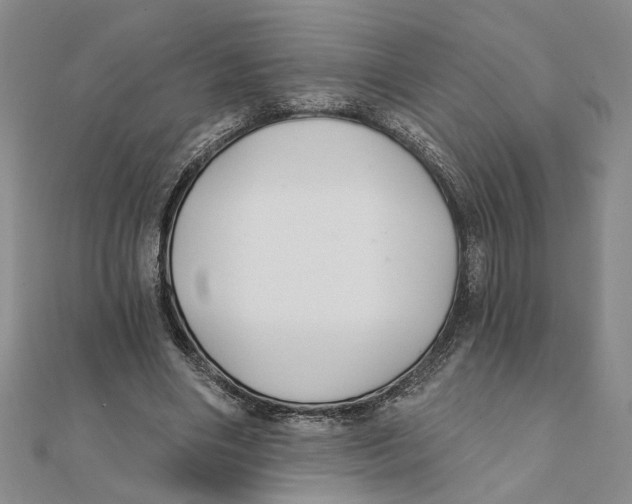 X0000111380490200908071238