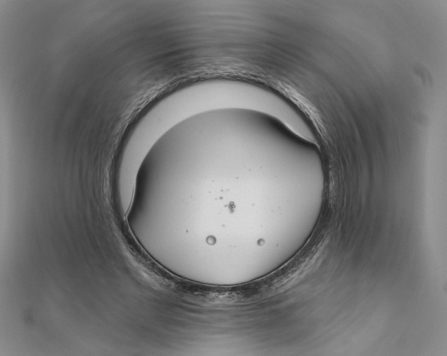 X0000111380493200908071238