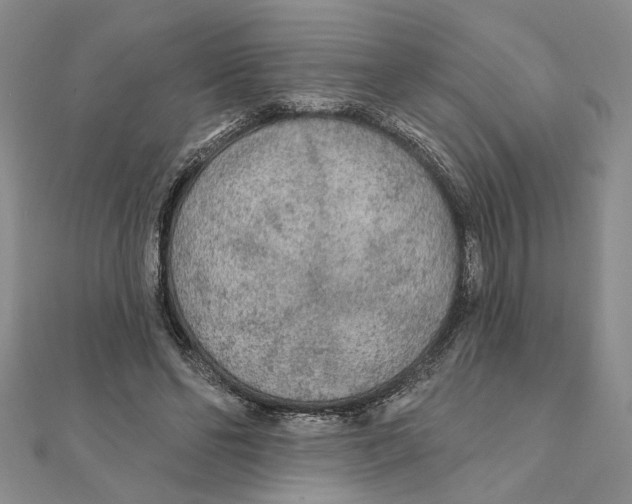 X0000111380494200908071238