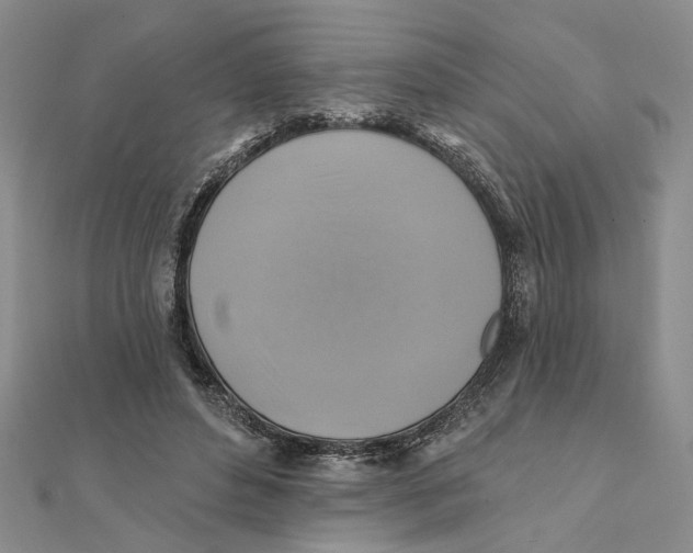 X0000111380496200908071238